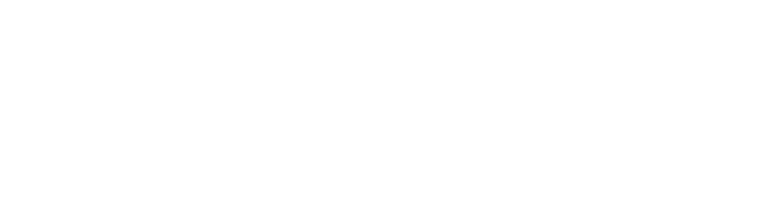 Paladin POS